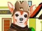 Play Little chihuahua dressup now
