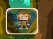 Play Monkey hidden objects game now