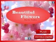 Play Beautiful flowers - find the numbers now