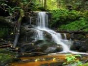 Scenic streams jigsaw