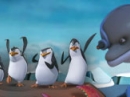 Play The penguins of madagascar: the rise of blowhole now