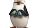 Play Penguins madagaskar: private panic:  na ratunek now