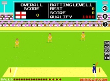 Play Pixel cricket