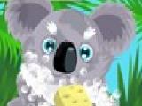 Play Koala care now