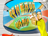 Play Homerun mania now