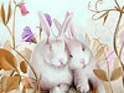 Play Cute bunnies hidden numbers