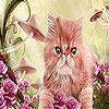 Play Lonely cool cat slide puzzle