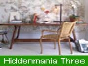 Hiddenmania three