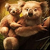 Play Cute koala family slide puzzle