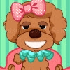 Play Toy poodle makeover now