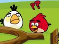 Play Angry birds go crazy
