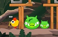 Play Cute birds forest