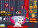 Play My cat new home