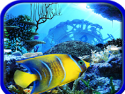Play Scuba dive. hidden objects now