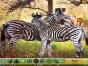 Play Zoo hidden objects 2