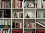 Play Bookshelves of mystery hidden objects now
