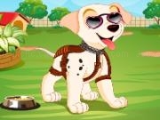Play Puppy dress up games now