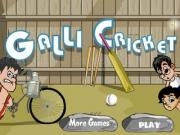 Play Galli cricket