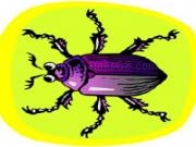 Play Beetlewars