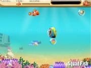 Play Nemo finding foods