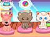 Play Pet shop management now