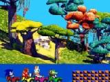 Play Sonic stars race
