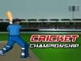 Play Cricket championship
