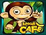 Play Jungle cafe