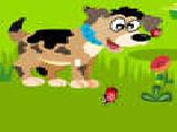 Play Find ladybugs