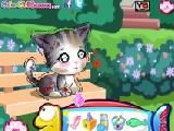 Play Doc mcstuffins: stray kitten caring now