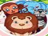 Play Zoo animals