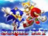 Play Sonic fly