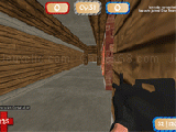 Play Mini combat