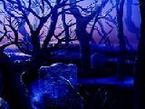 Play Halloween spooky forest escape