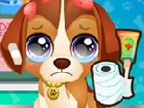 Play Baby pet rescue now