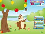 Play Squirrel mania