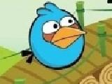 Play Angry birds - cut the rope