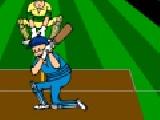 Play Virtual cricket