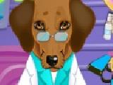 Play Baby puppy eye doctor now