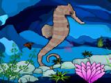 Play Hidden seahorse-hidden objects