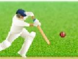Play Cricket defend the wicket! now
