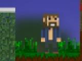 Play Minecraft