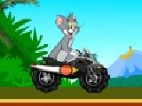 Play Tom super moto now