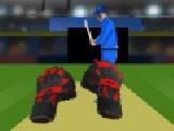Play Cricket tap catch now