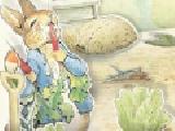 Play Peter rabbit: collection of vegetables now