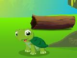 Play Fun tortoise adventure