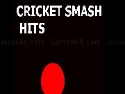 Play Cricket Smash Hits now