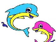 Play Funny Dolphins Coloring Game now
