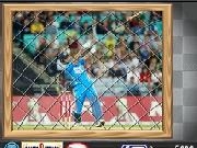 Play Flying Cricket Bat now