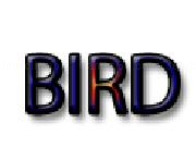 Play Bird - shooting game (TEST) now